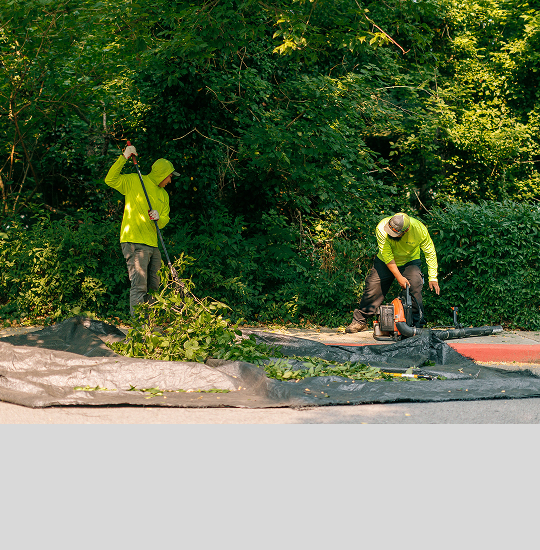 Commercial Landscaping