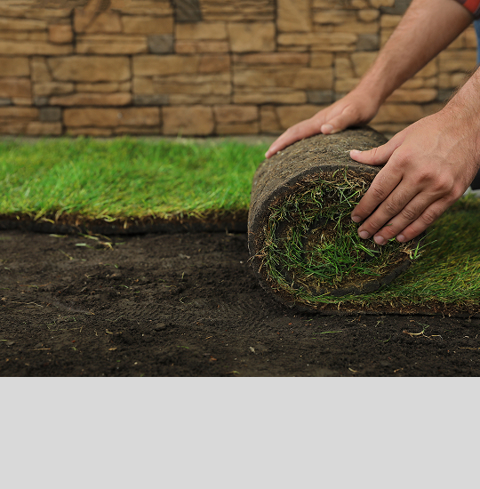Lawn Installation