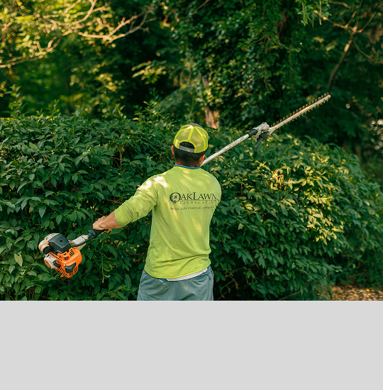 Property Maintenance