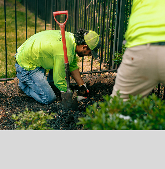 Residential Landscaping
