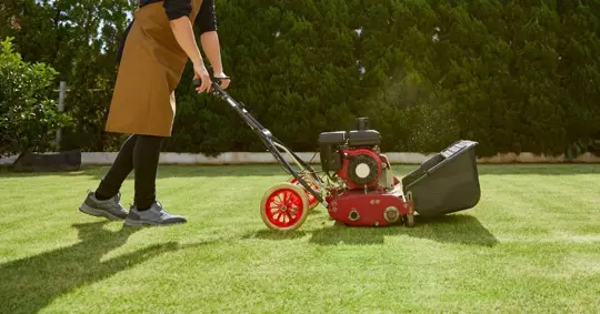 Man Mowing Lawn with a Gas Lawn Mower