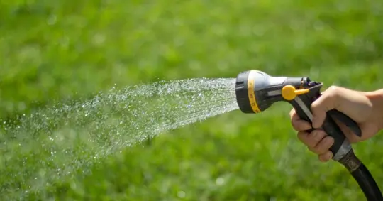 A hand watering the lawn