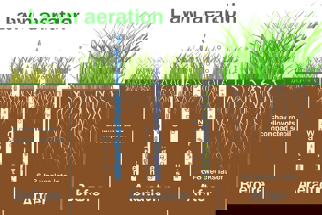 The image shows how lawn aeration improves growth.