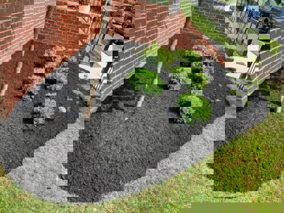 A well-manicured garden bed is filled with dark mulch, shrubs, and a young tree