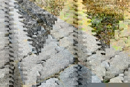 Gray rectangular pavers interlock along a concrete curb, separating them from grass