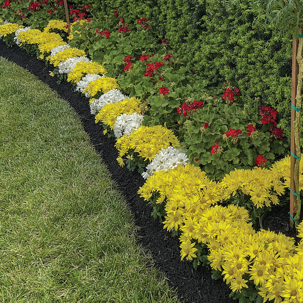 A flower bed displays yellow and white flowers along a black border, showcasing content authoring and site tools.