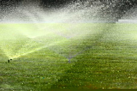 Irrigation sprinklers water a lawn