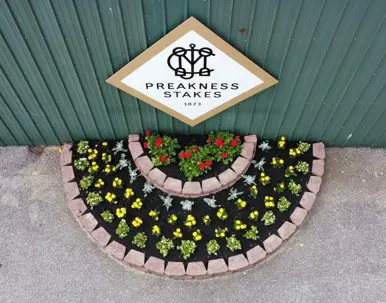 hardscaping, the Preakness Stakes logo is above a colorful, semi-circle flowerbed