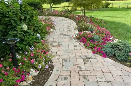 annuals and perennials in a flower bed along walkway