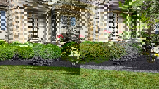 Residential landscaping featuring black mulch, shrubs, and manicured lawn.