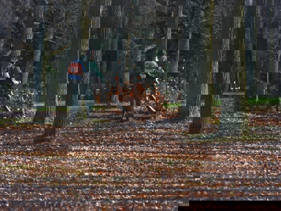 A landscaper clears fallen leaves with a backpack leaf blower.