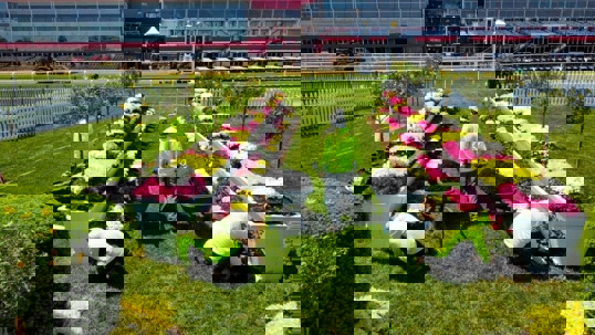 Landscapers plant colorful flowers in planters at a racetrack
