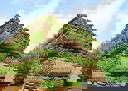 A pallet is stacked high with rolls of new sod