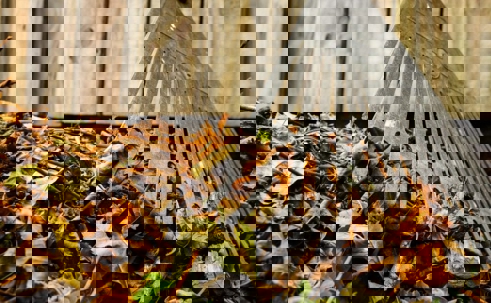 A metal leaf rake is partially submerged in a pile of decaying leaves