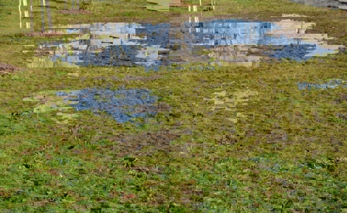 A waterlogged yard is shown. Puddles of rainwater cover areas of grass