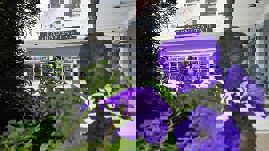 A close-up of purple flowers with a business building in the background.