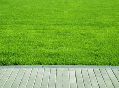 Here's an image of a healthy green lawn, edged with a gray paver walkway.