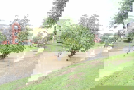 A flooded waterway surrounds a tree by an apartment complex