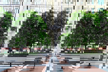 An inviting courtyard features trees in planters, benches, and tables in front of a building.