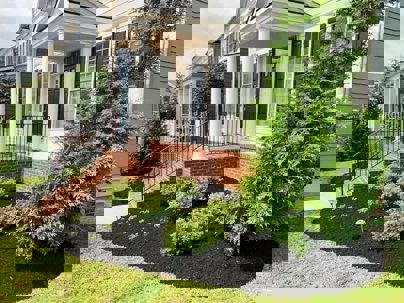 Well-manicured residential landscaping features dark mulch