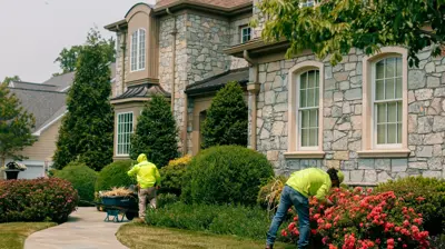 Professional Team At Work