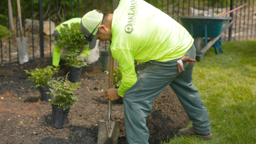still of a worker gardening in a lawn