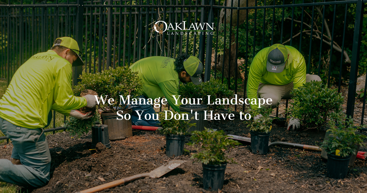 oaklawnlandscaping.com logo