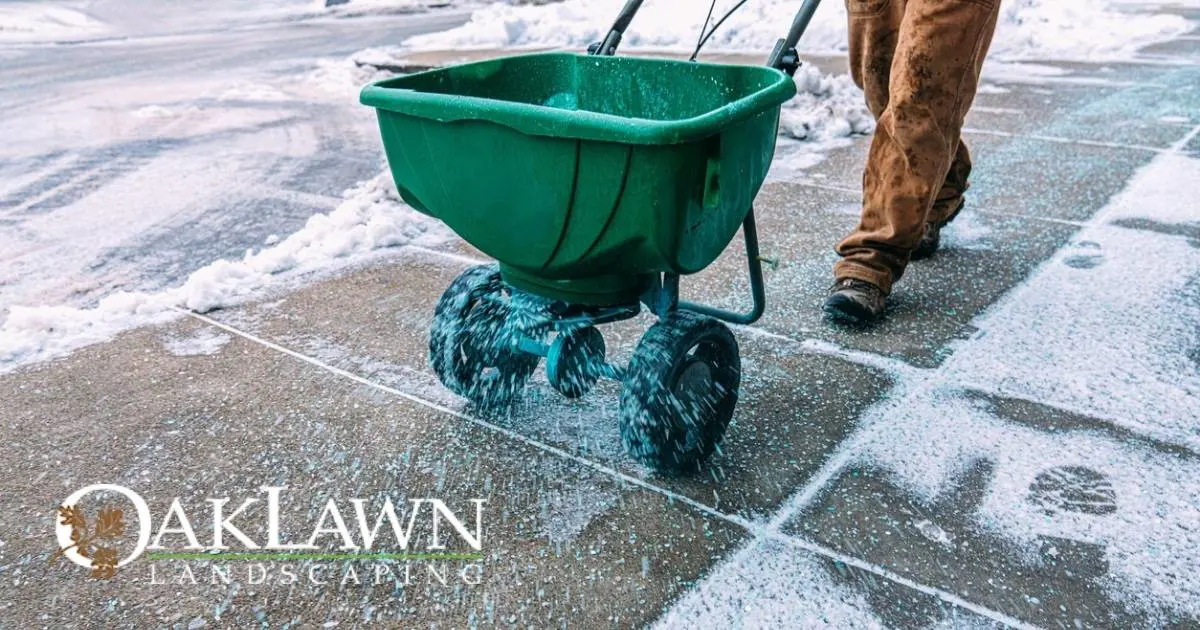 Salt Damage in Maryland Landscapes: How to Spot It Before Your Trees ...