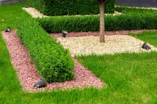 A neatly landscaped garden featuring rows of hedges with colored rock mulch. 