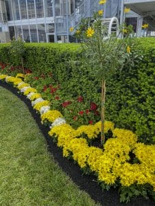 A vibrant flower bed in full bloom adds visual interest to the landscape.