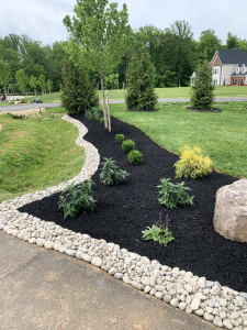 a beautiful landscape