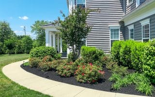 A well-maintained garden bed borders a concrete path and a house with gray siding.