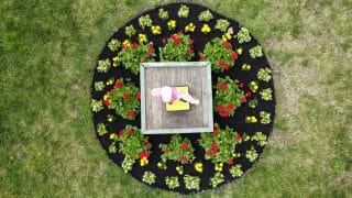 ial view of a small garden with flowers encircling a wooden square in the center. 