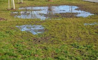 A flooded lawn shows standing water, indicative of a stormwater management issue.