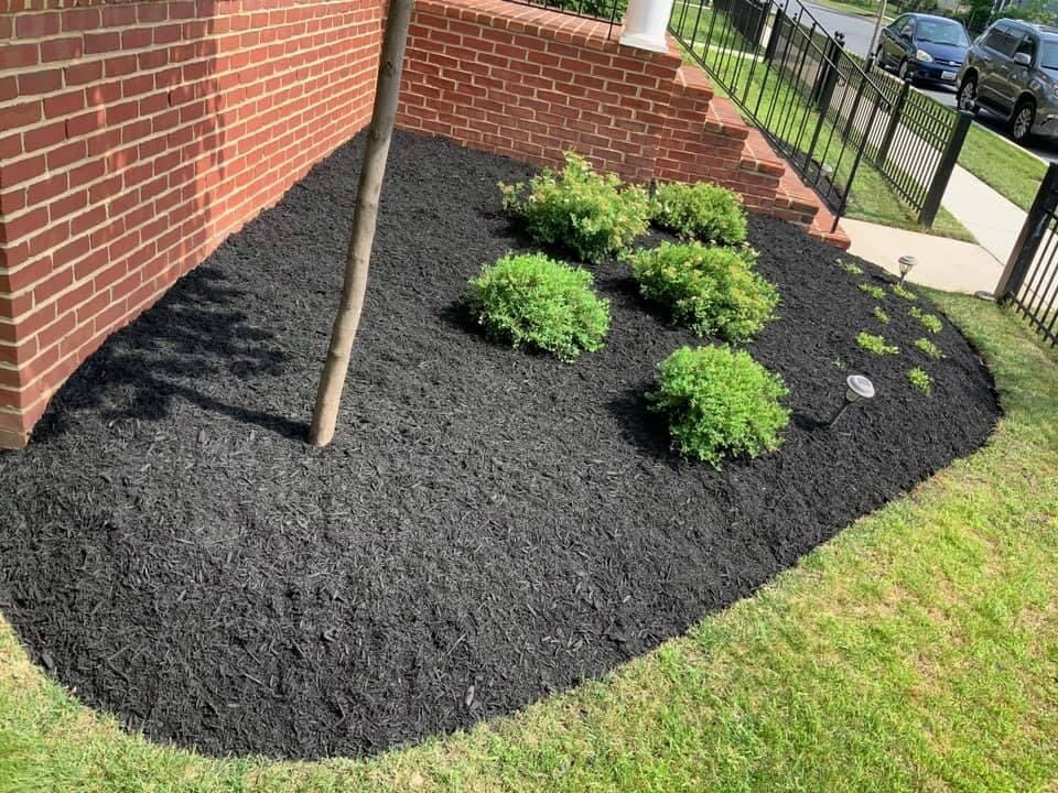 A garden bed next to a brick wall