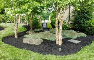 Fall Services Offered by OakLawn Landscaping: Prepare Your Landscape for Winter