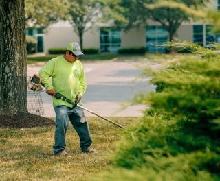 A landscaper trims foliage near a building