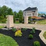 freshly mulched area