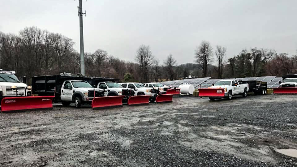 A row of trucks