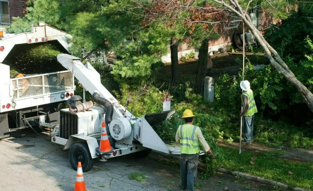 Two workers are using a wood chipper on the side of the road