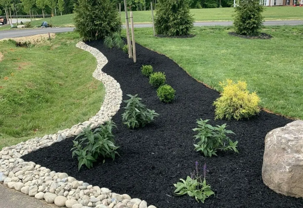 freshly mulched landscape