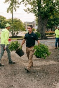 OakLawn Landscaping employees transplanting shrubbery