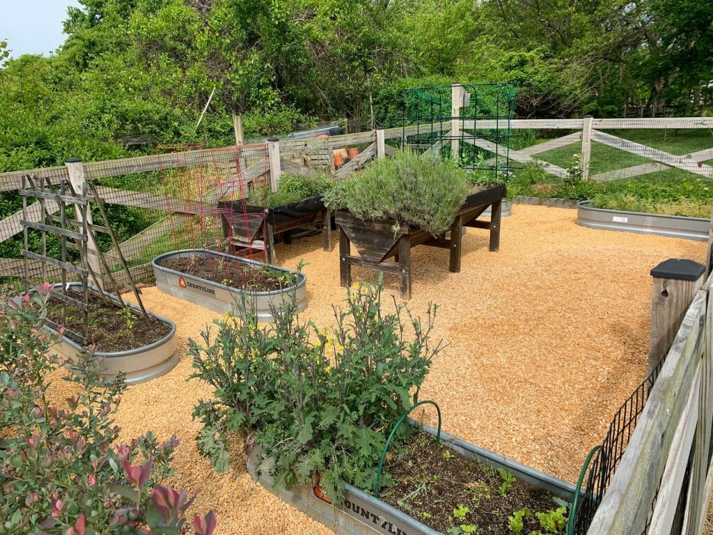 Small Space Garden Design Ideas On A Budget