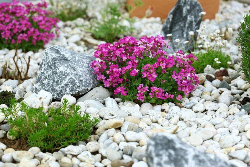 Decoreted Rocks 3 Advantages of Adding Decorative Rock