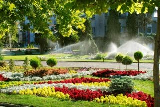 A vibrant garden with colorful rows of flowers is being watered by sprinklers