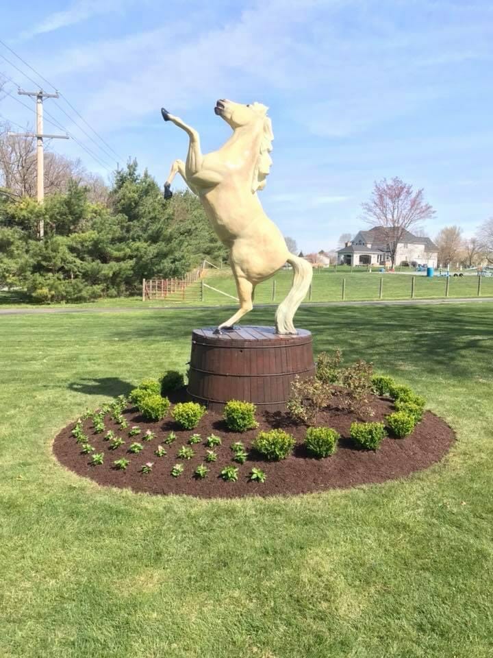 A horse statue rears on a barrel in a mulch bed in a yard