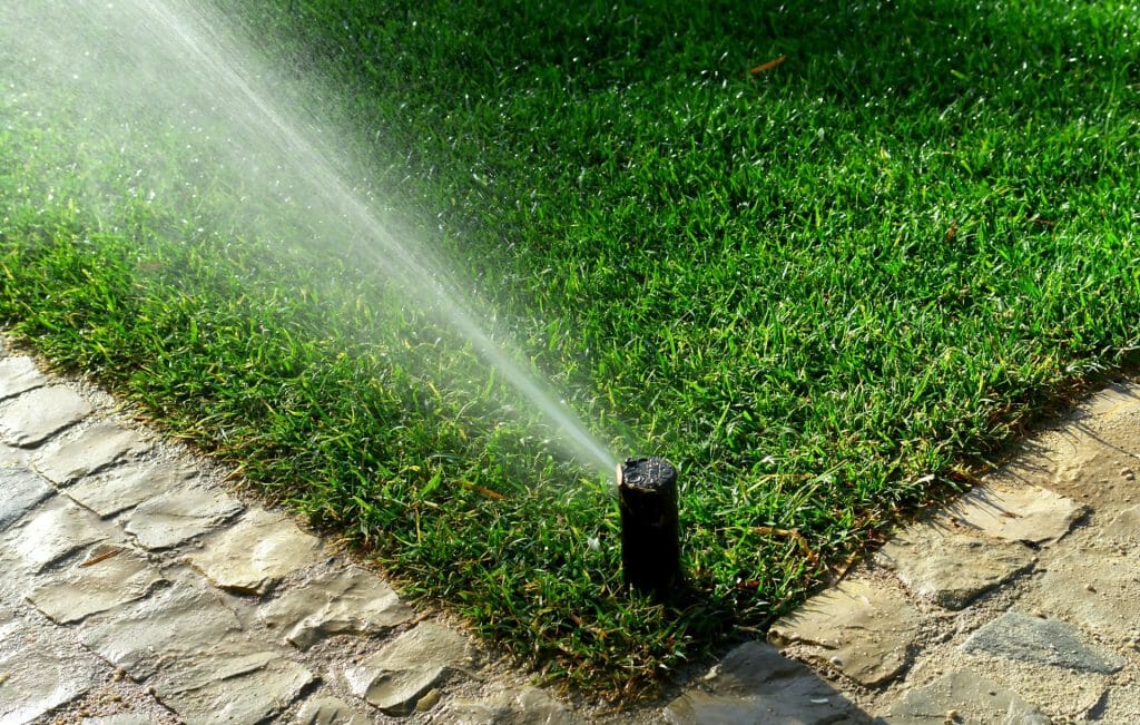 Sprinkler head spraying water