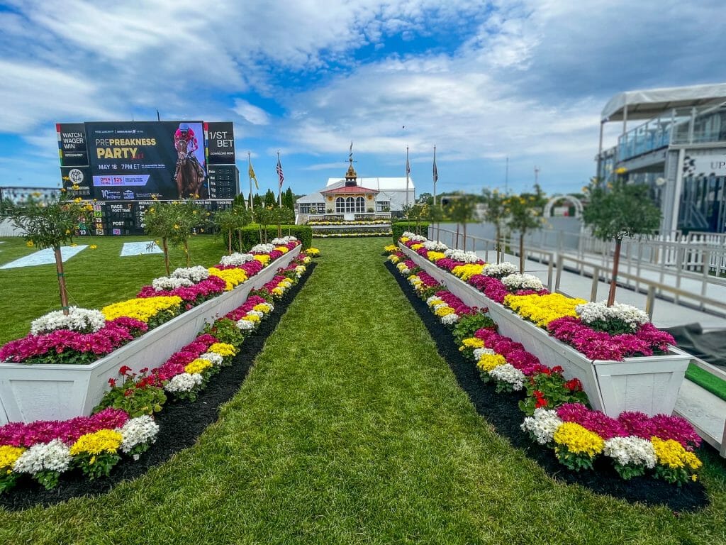 flower line to the winners circle at the Preakness Stakes