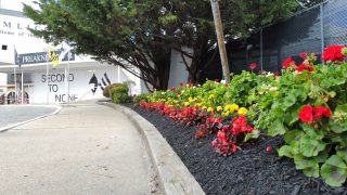 The Ultimate Guide to Landscaping Enhancements